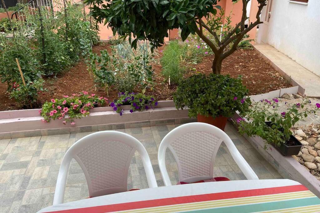 Ferienwohnung Manuel Korčula Exterior foto